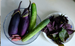 京都特色美食推薦1：京野菜料理