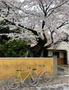 京都十大景點：仁和寺