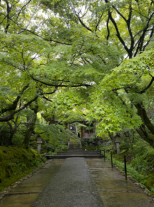 ​京都十大景點：嵐山