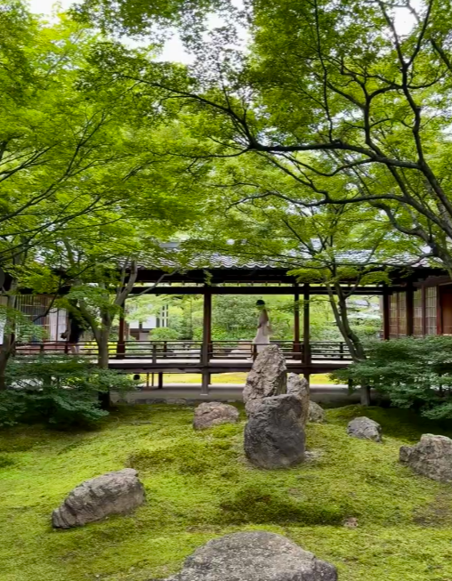 京都鴨川河岸漫遊指南