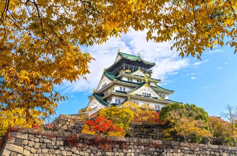 北海道賞楓