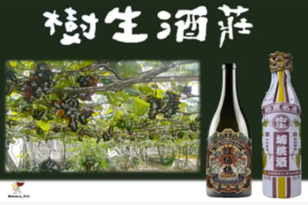 台灣葡萄酒品牌有哪些？10大台灣紅酒推薦&節慶、聚會必選
  