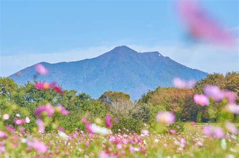東京早上景點筑波山清晨日出與關東平原全景景色