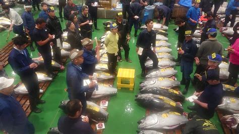 東京早上景點豐洲市場清晨鮪魚競標現場