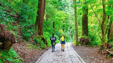東京早上景點高尾山清晨登山步道與日出景色