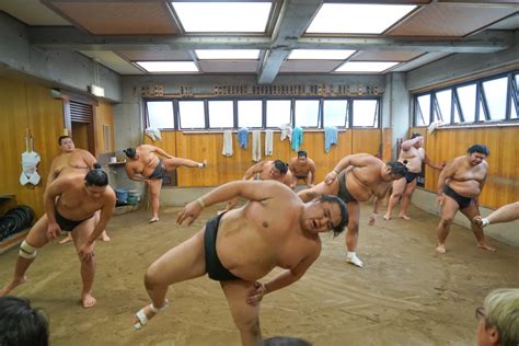東京早上活動相撲道場晨練現場觀賞