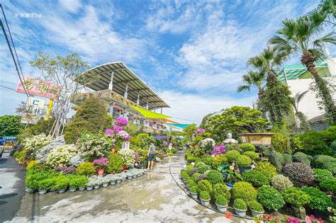 適合行動不便老人旅遊景點 彰化田尾公路花園無障礙賞花動線