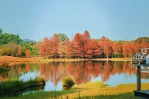 天水圍公園