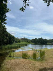 香港濕地公園